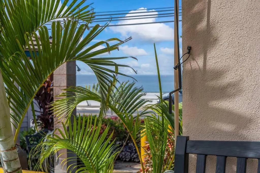 Kihei Kai Nani 100- Remodeled Ground Floor, Oceanview, Steps To Beach Apartment